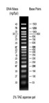 50bp DNA ladder ready-to-use (2 dyes)