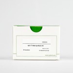 NZY T7 RNA Synthesis kit