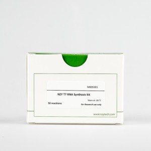 NZY T7 RNA Synthesis kit 