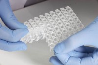 VersiPlate, 96-well Low Profile PCR Strip Tube Plate