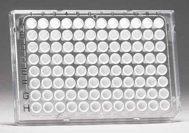 FrameStar 96-PCR plate (white) for LightCycler 480 with foils 