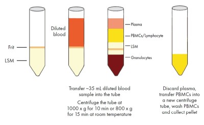 LymphoSepMate™ Lymphocyte Isolation Kit, 15 mL, 25 Tubes, Sterile 