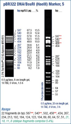 pBR322 DNA/BsuRI Marker 