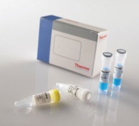 Verso™ 1-Step QRT-PCR ROX Kit