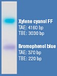 6X Loading Dye Solution