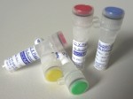 Maximo M-SuperhotTaq DNA Polymerase (qPCR)