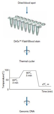 DirEx™ Fast-Blood Stain, 12 x 0.2ml 8-tube strip 