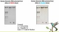 Blood DNA Extraction Kit (Proteinase K included) 