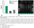 RevertAid™ Premium Double-Stranded cDNA Synthesis Kit screenshot-www thermofisher com 2015-12-08 14-56-03.jpg