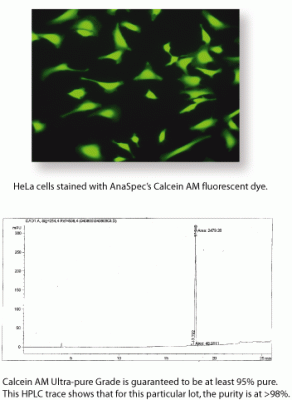 Calcein; AM *UltraPure Grade* *Small Package* 