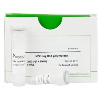 NZYLong DNA polymerase