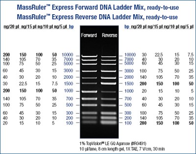 MassRuler™  Express DNA Ladder Mix, Forward 