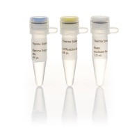 Maxima™ First Strand cDNA Synthesis Kit for RT-qPCR
