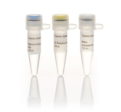 Maxima™ First Strand cDNA Synthesis Kit for RT-qPCR 