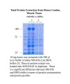 Minute™ Total Protein Extraction Kit for Mass Spectrometry 
