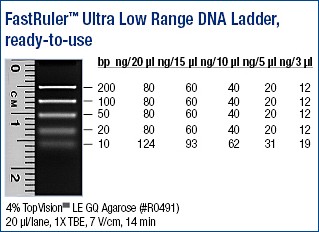 FastRuler™ DNA Ladder, Ultra Low Range, ready-to-use 