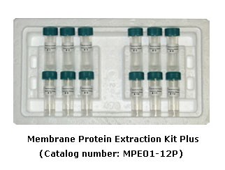 Membrane Protein Extraction Kit Plus 