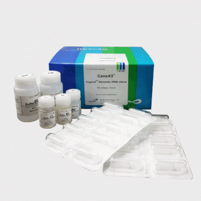 Exgene™ Genomic DNA Micro 