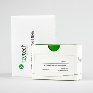 NZY T7 High Yield RNA Synthesis kit 