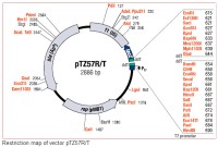 InsT/Aclone™ PCR Product Cloning Kit