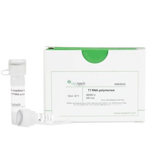 T7 RNA Polymerase 