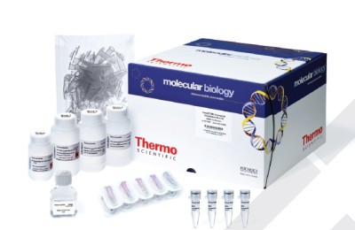GeneJET™ RNA Cleanup and Concentration Micro Kit 