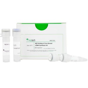 MulV First-Strand cDNA Synthesis Kit 