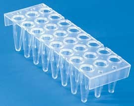 Thermo-Fast 24 PCR Plate 