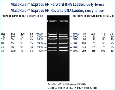 MassRuler™  Express DNA Ladder, High Range Reverse 