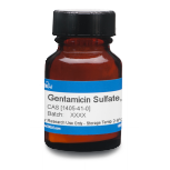 Gentamicin Sulfate EP 