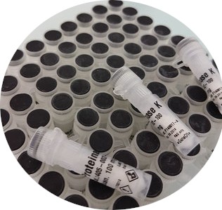 Proteinase K (20 mg/ml) 