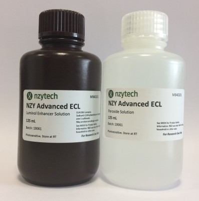 NZY Advanced ECL 