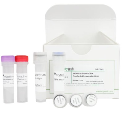 NZY First-Strand cDNA Synthesis Kit, separate oligo 