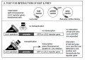 Grow 'n' Glow Two-Hybrid System "Complete Kit" 