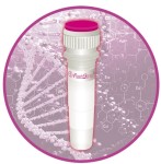 FastGene Scriptase Basic cDNA Kit