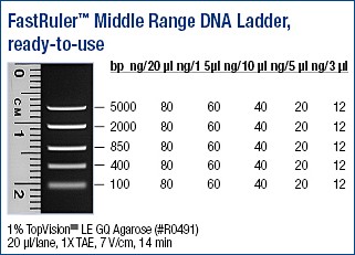 FastRuler™ DNA Ladder, Middle range, ready-to-use 