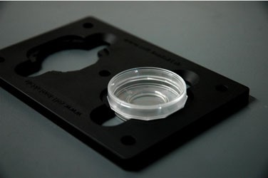 ID Stage Frame, double, 127,76 x 85,48 mm 