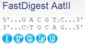 FastDigest AatII 
