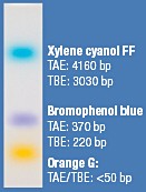 6X TriTrack™ Loading Dye Solution 